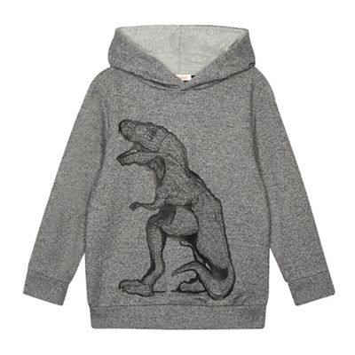 Boys' grey dinosaur print hoodie